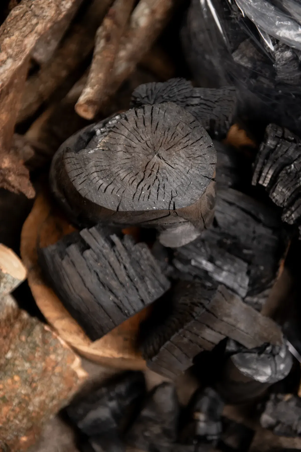 End grain of carbonized hardwood