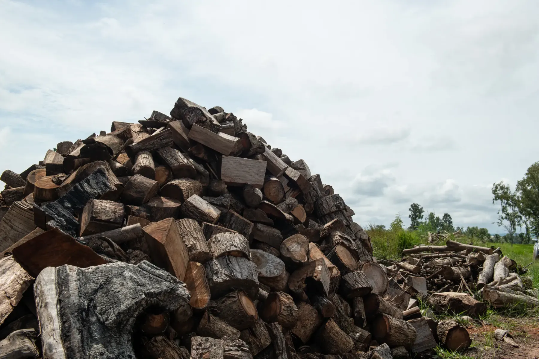 Sorted wood stacks in the yard