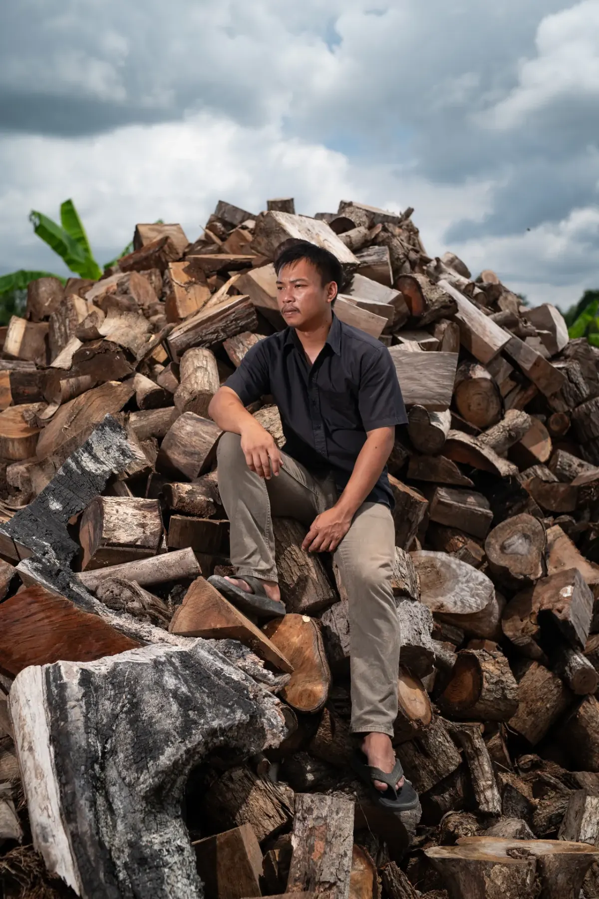 Carbon Bridge founder seated on the hardwood feedstock pile
