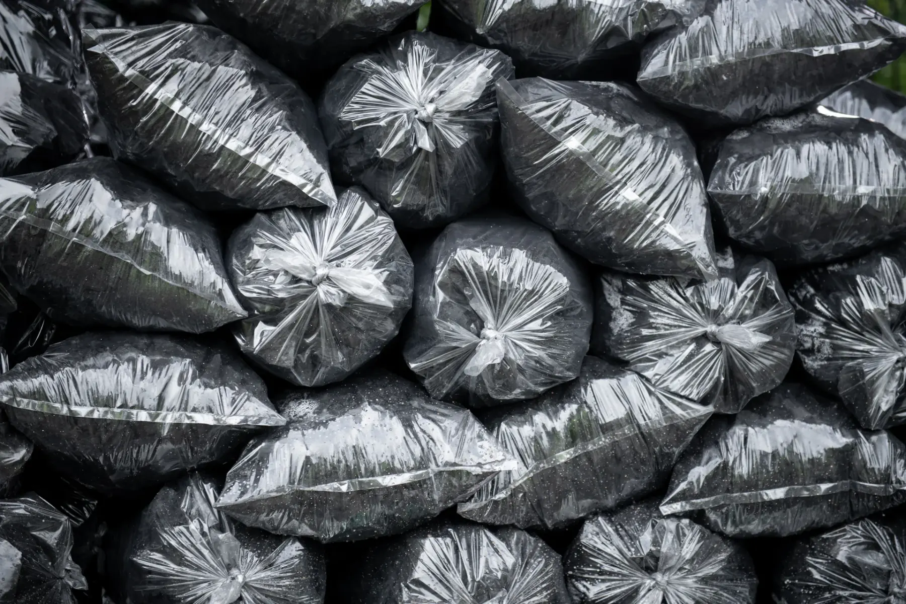 Rows of sealed clear charcoal bags