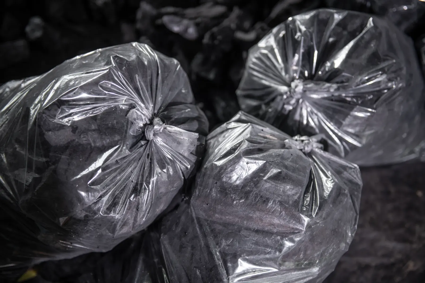 Sealed charcoal bags ready for shipment