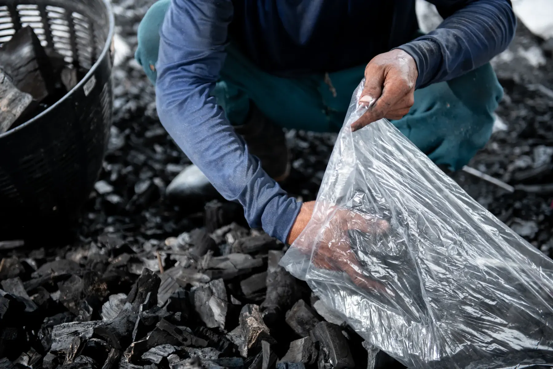 Charcoal hand-graded and bagged