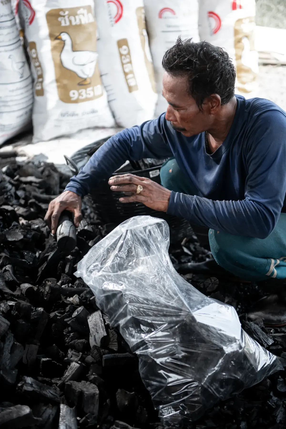 Worker packing charcoal into bags