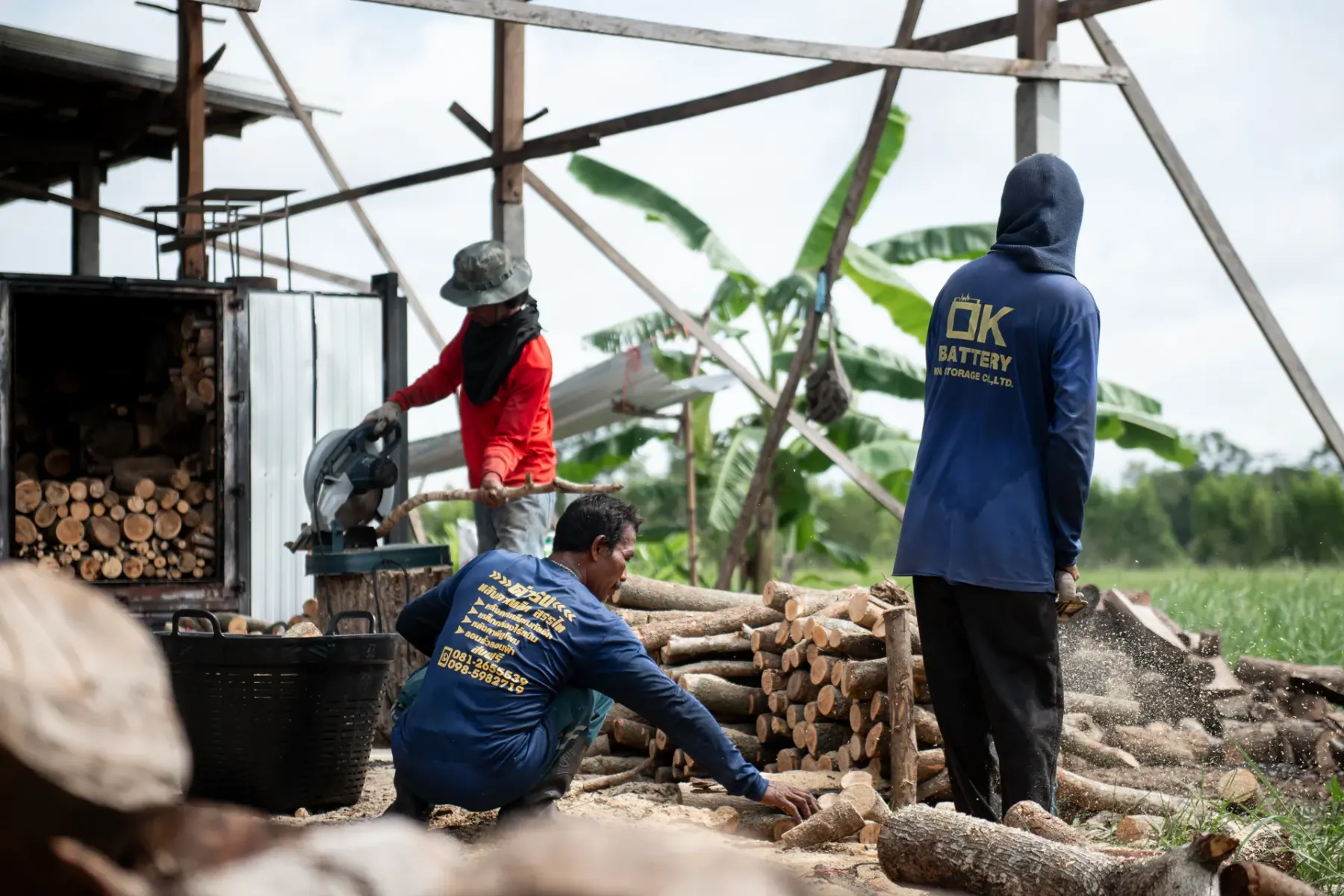 Workers cutting and loading hardwood for the kilns
