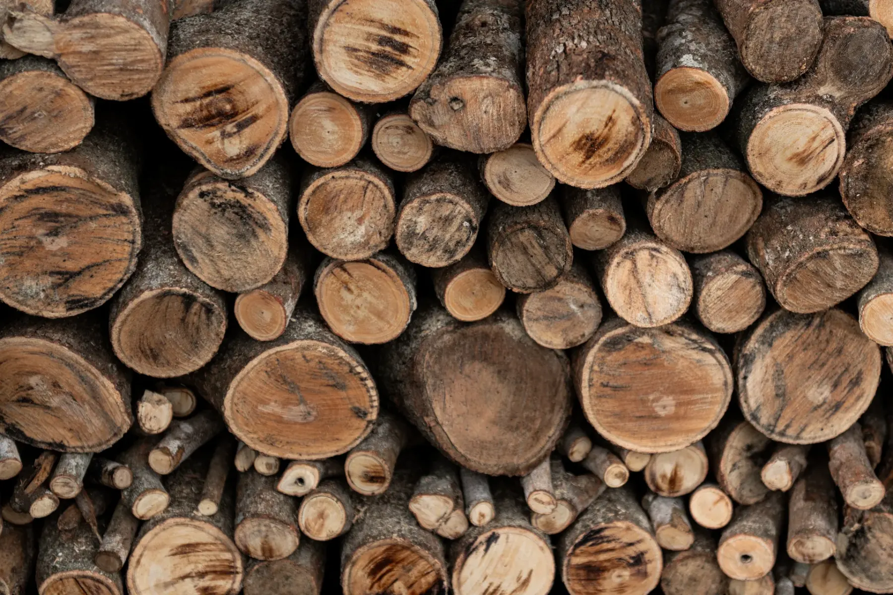 Cut hardwood feedstock