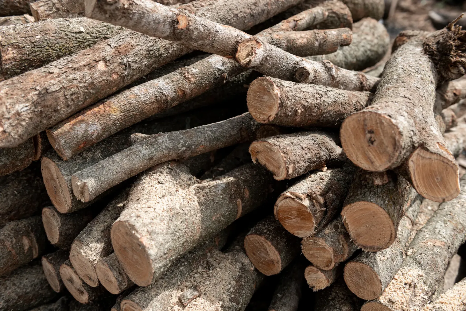 Hardwood feedstock stacked for carbonization